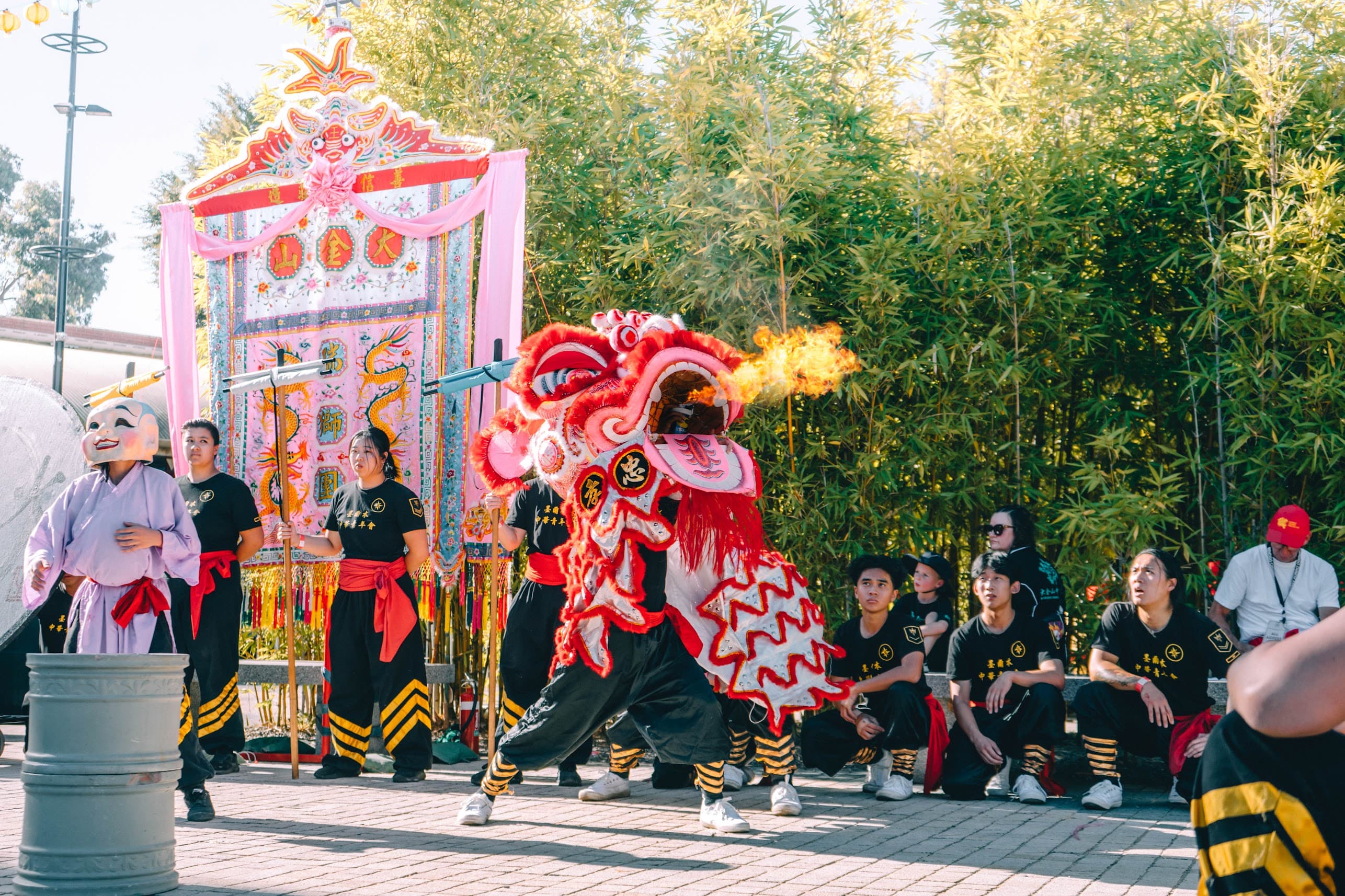 Kelvin lion dancing